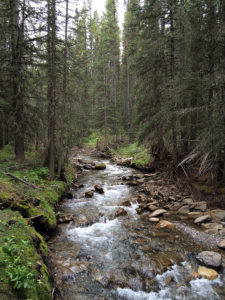 Kananaskis