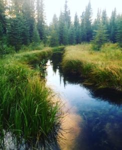 Switzer Provincial Park