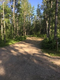 Camping at Pigeon Lake Provincial Park