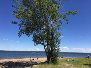 Camping at Pigeon Lake Provincial Park