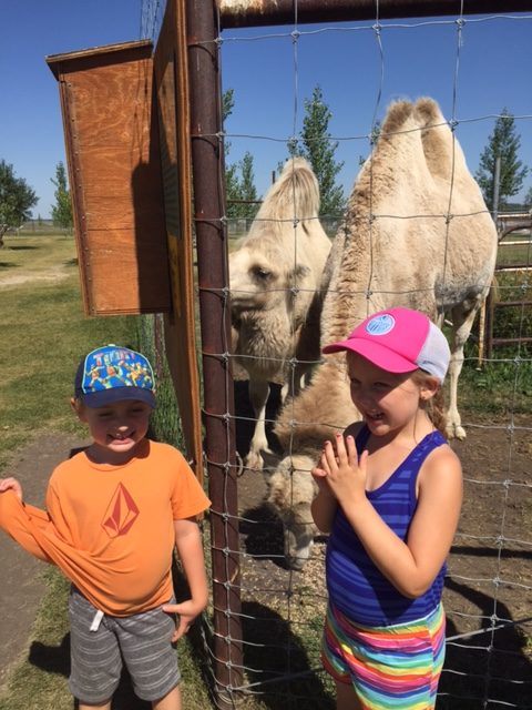 Camping at Red Lodge Provincial Park