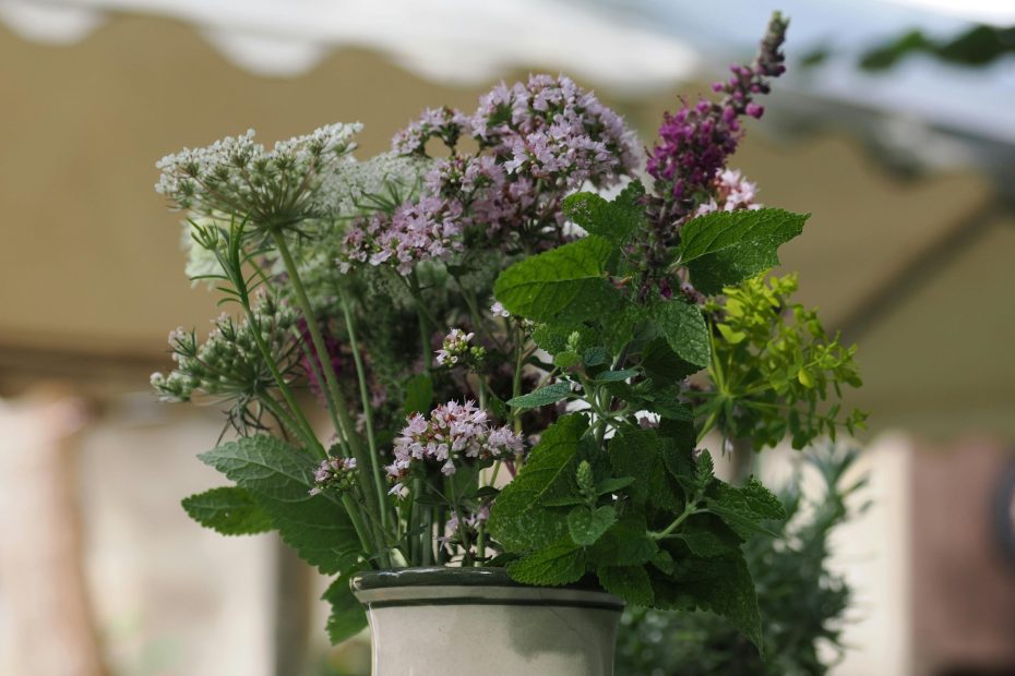 Fresh flowers in a vase with a blurred background. (Source: Canva)