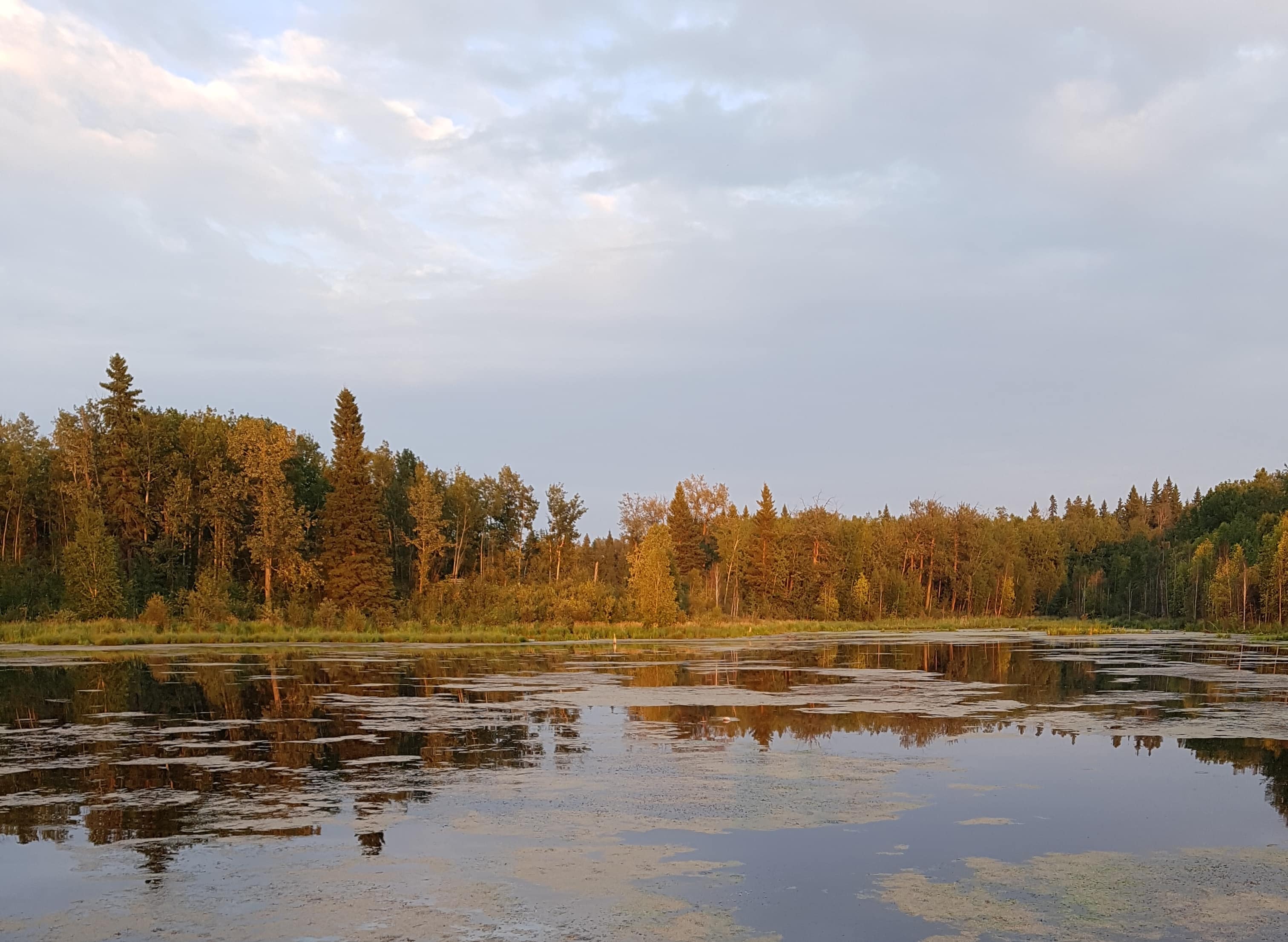 Elk Island National Park