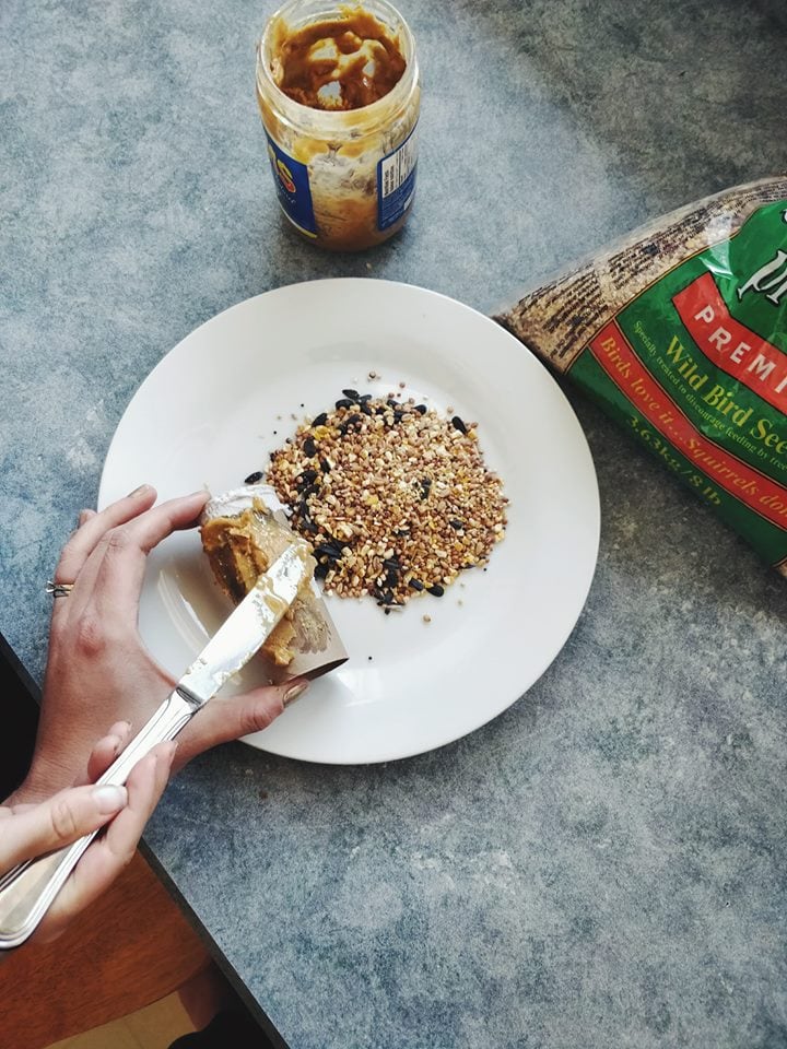 Spreading peanut butter onto the toilet paper roll for a DIY bird feeder - roll resting on a plate