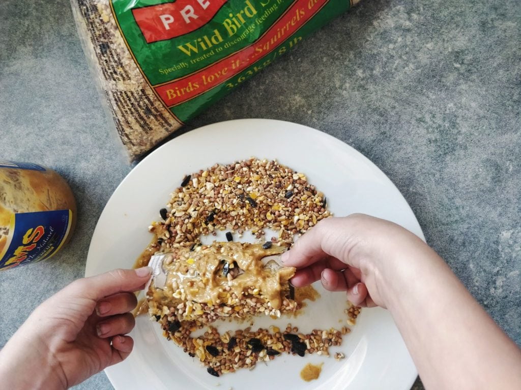 Rolling a peanut butter covered toilet paper roll in bird seed