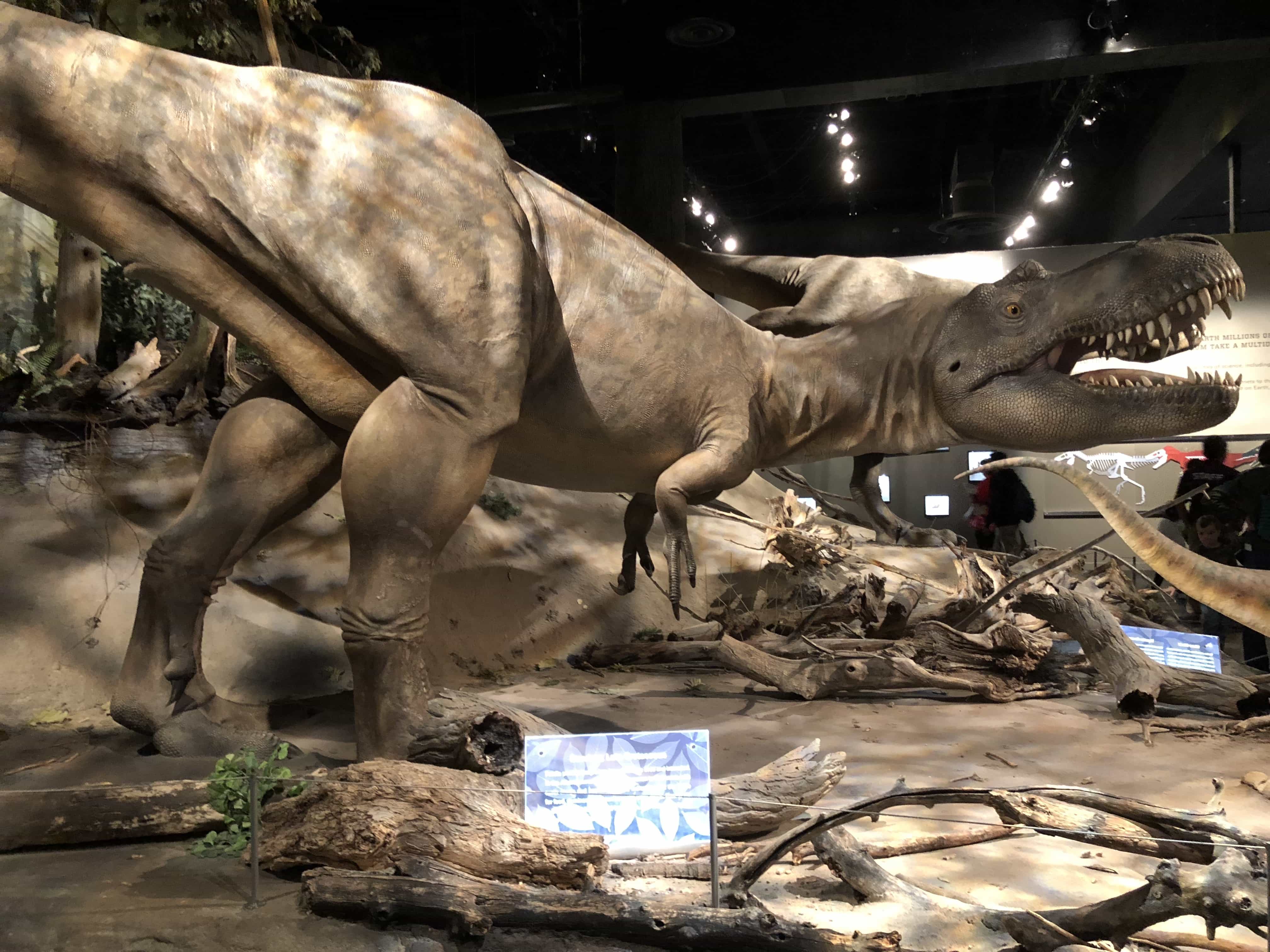 Royal Tyrrell Museum