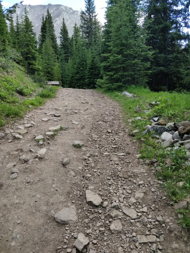 Elbow Lake Trail