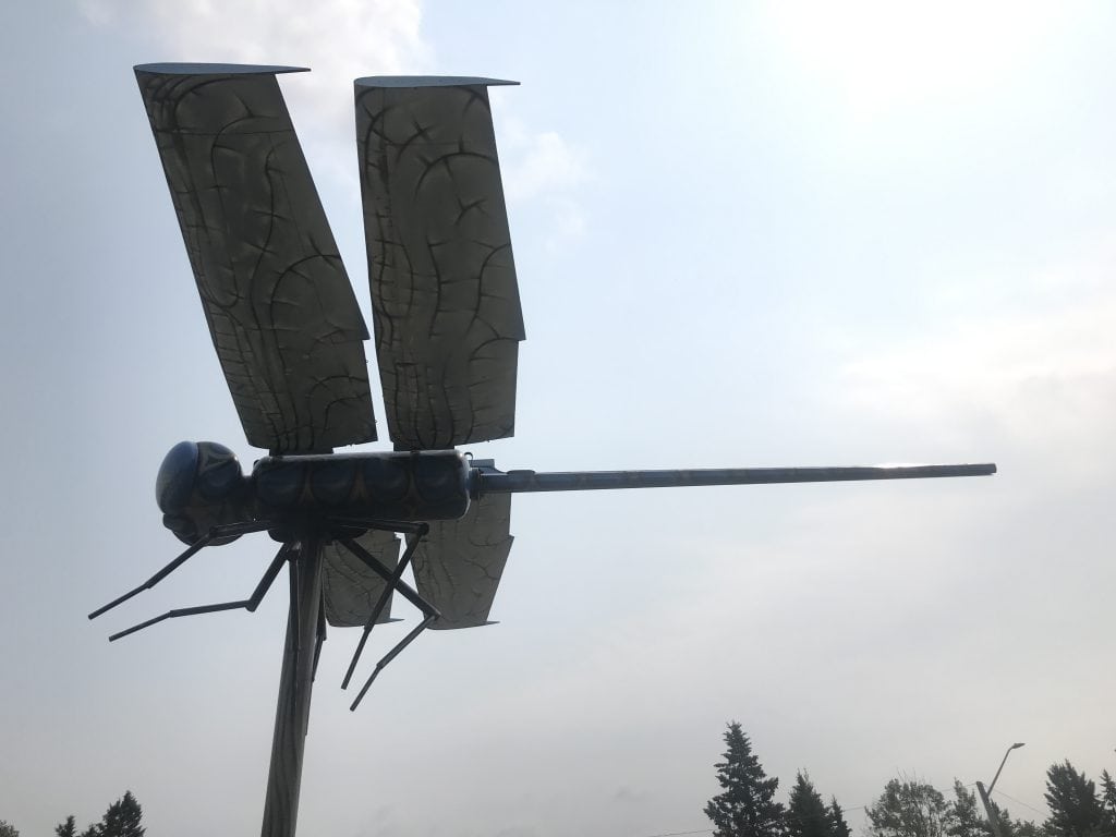 Wabamun dragonfly