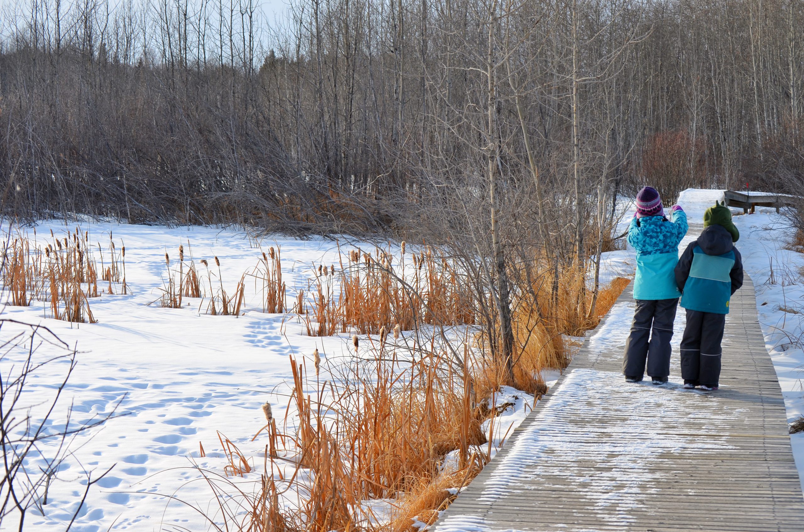 75+ Things to Do on a PD Day in Alberta