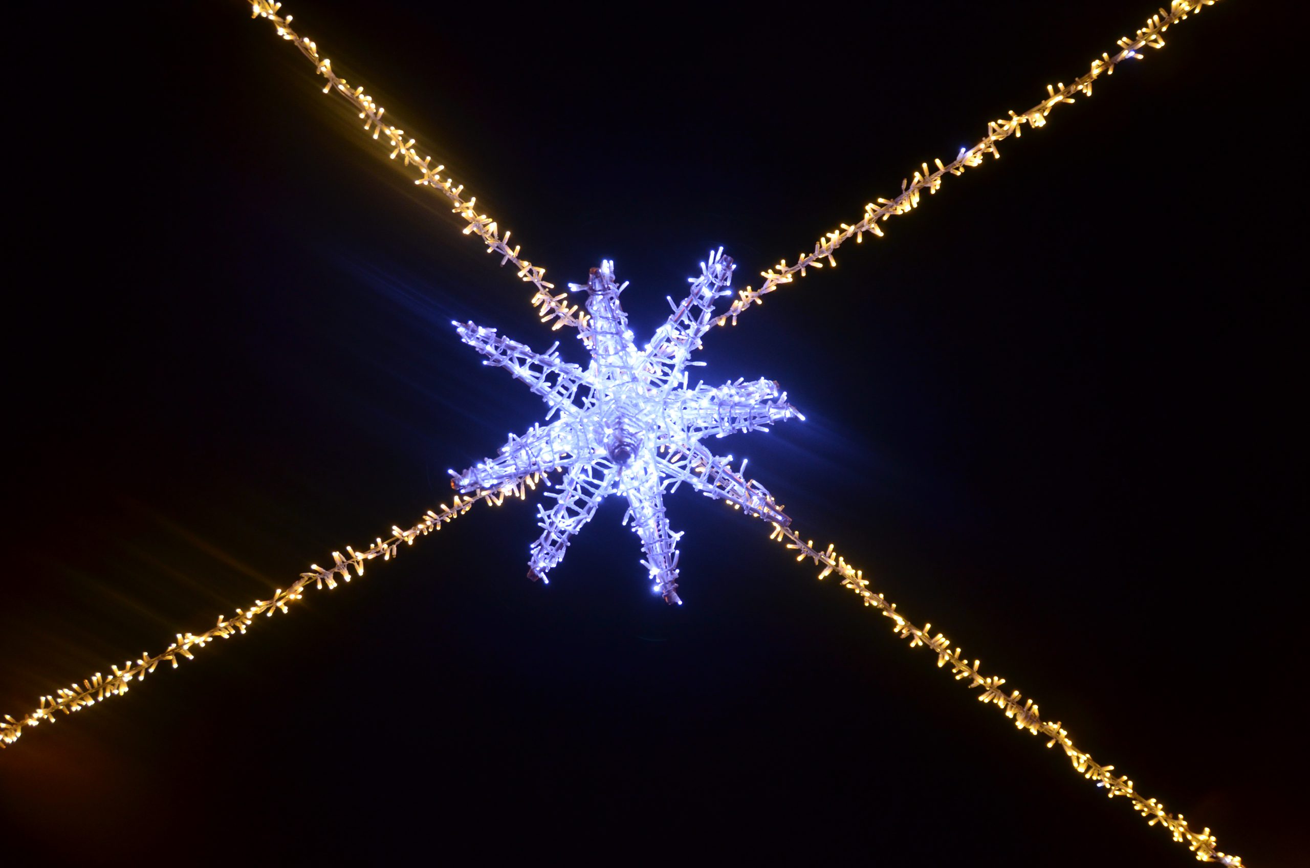 20+ FREE Christmas Lights Around Edmonton (2023)