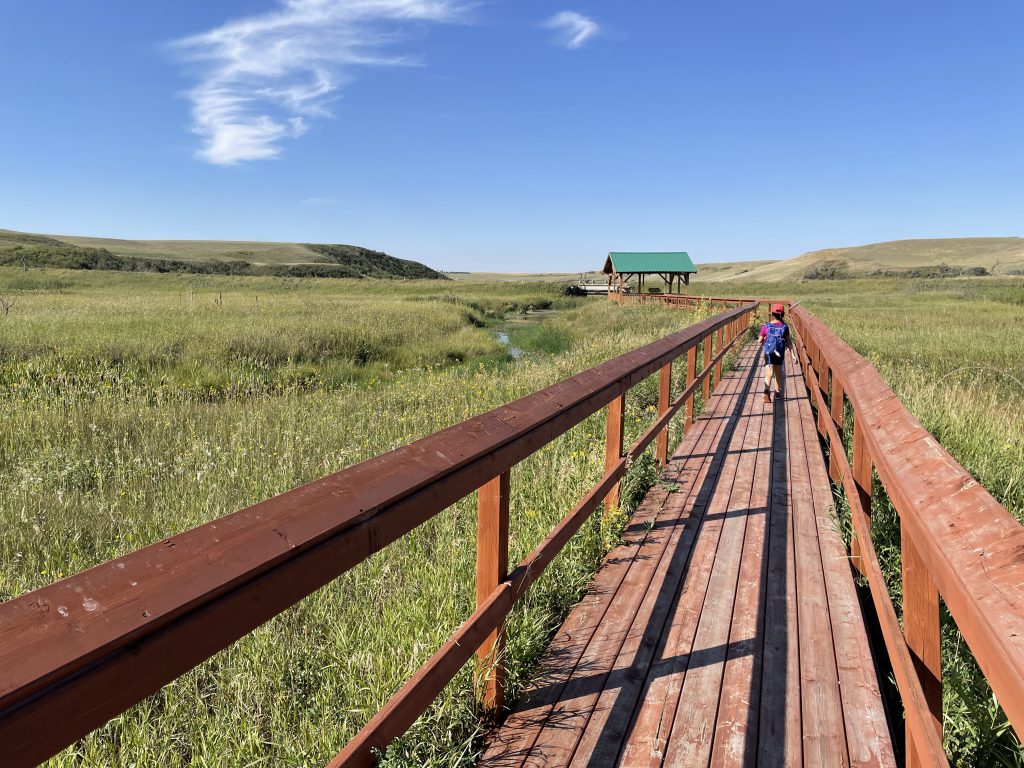 Michichi Reservoir boardwalk hike