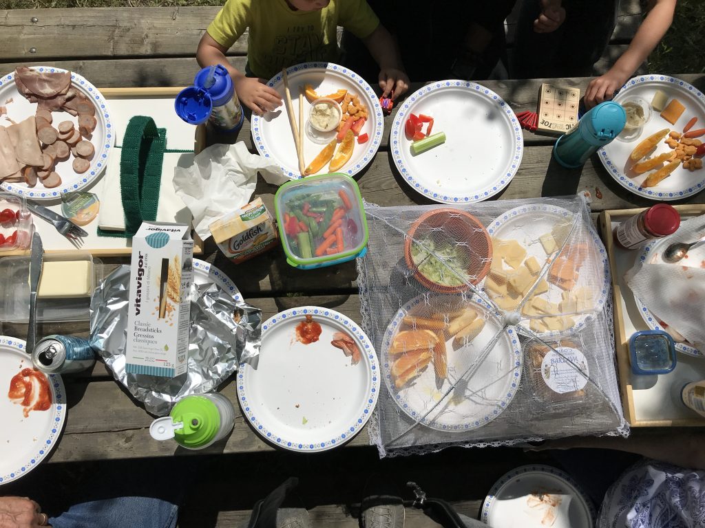 Picnic table loaded with lunch on paper plates with a bug net covering the serving dishes.